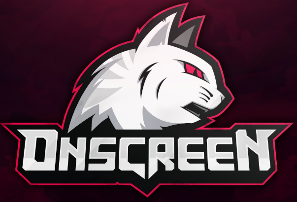 Interview with CS:GO Pro, Onscreen