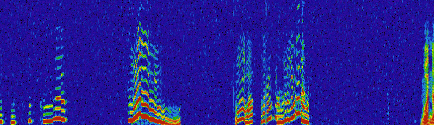 (Free) Active Noise Suppression Without Nvidia Broadcast!